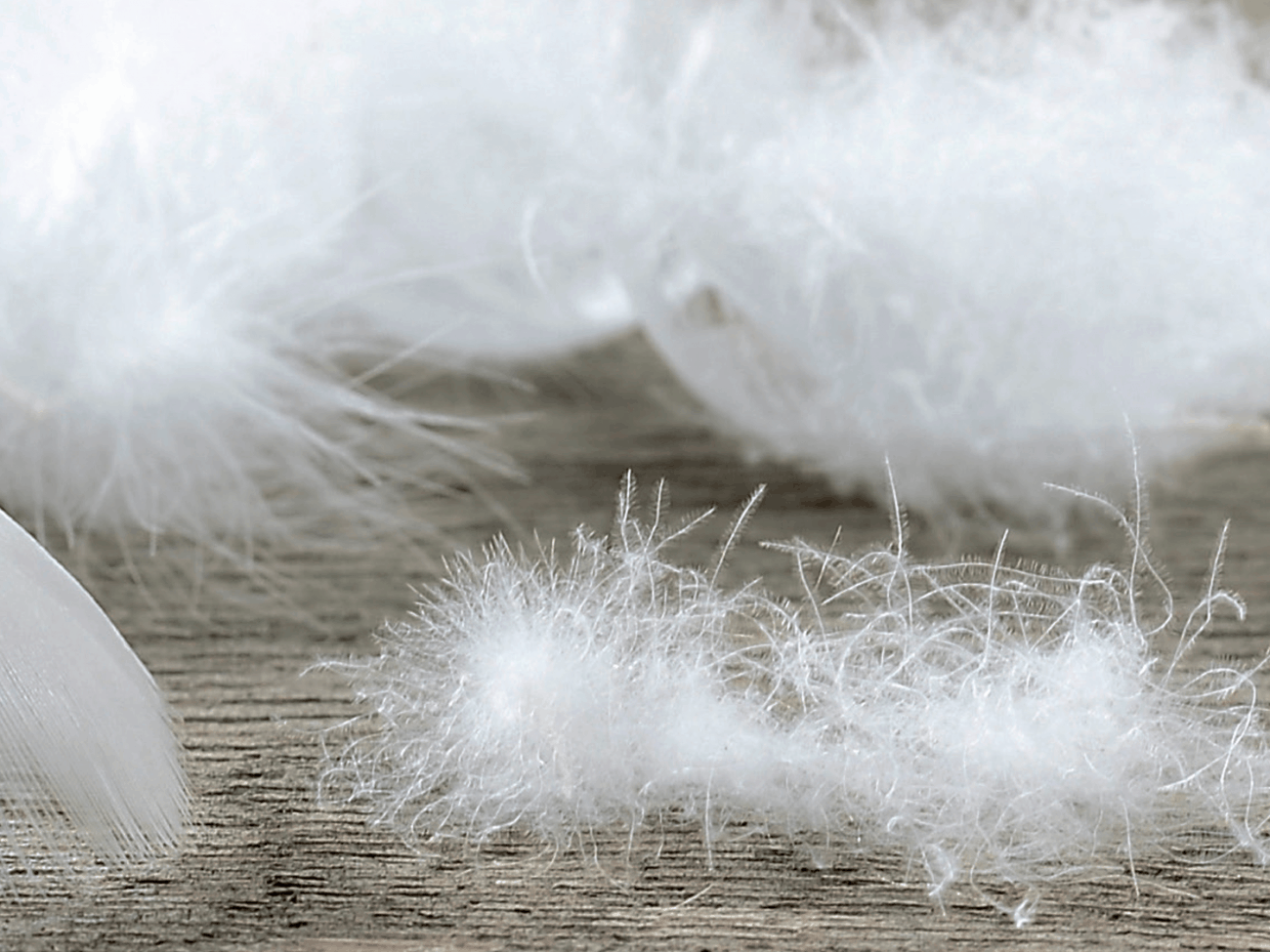 How to Choose the Right Goose Down Comforter?