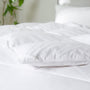 Premium Hotel Down Duvet - Three Geese