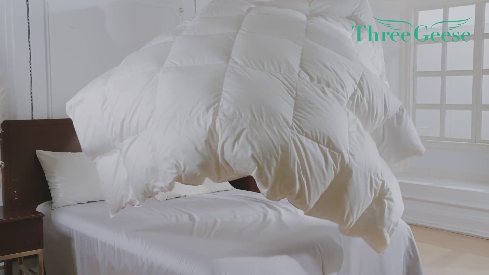 Video with text overlay